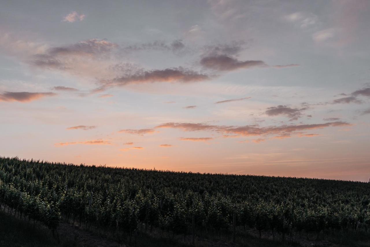 Freigut Thallern Gumpoldskirchen Zewnętrze zdjęcie