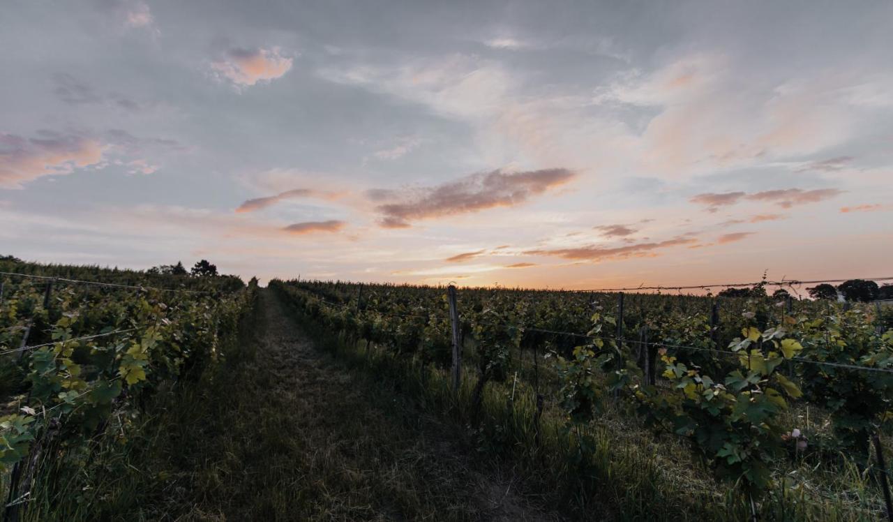 Freigut Thallern Gumpoldskirchen Zewnętrze zdjęcie
